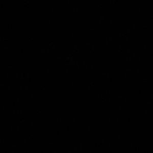 Meet your Posher, Aleisha